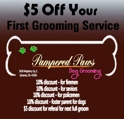 dog grooming shop coupon