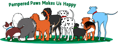dog grooming animation